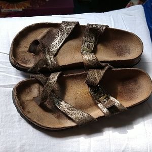 Authentic Papillio's